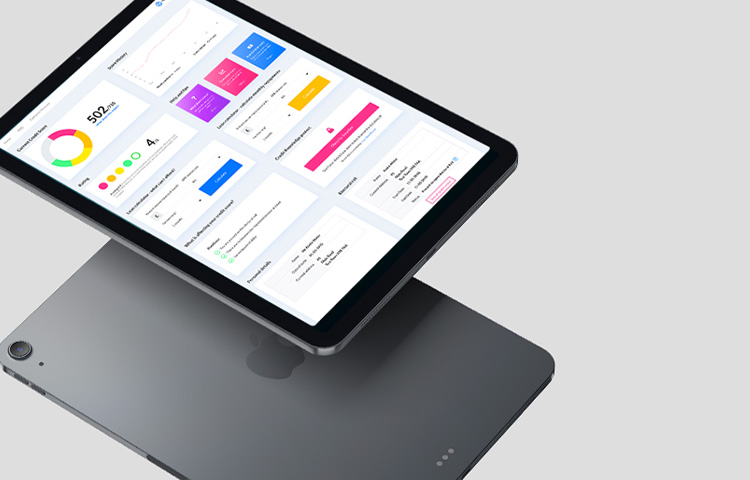 Credit Knowledge report on an ipad